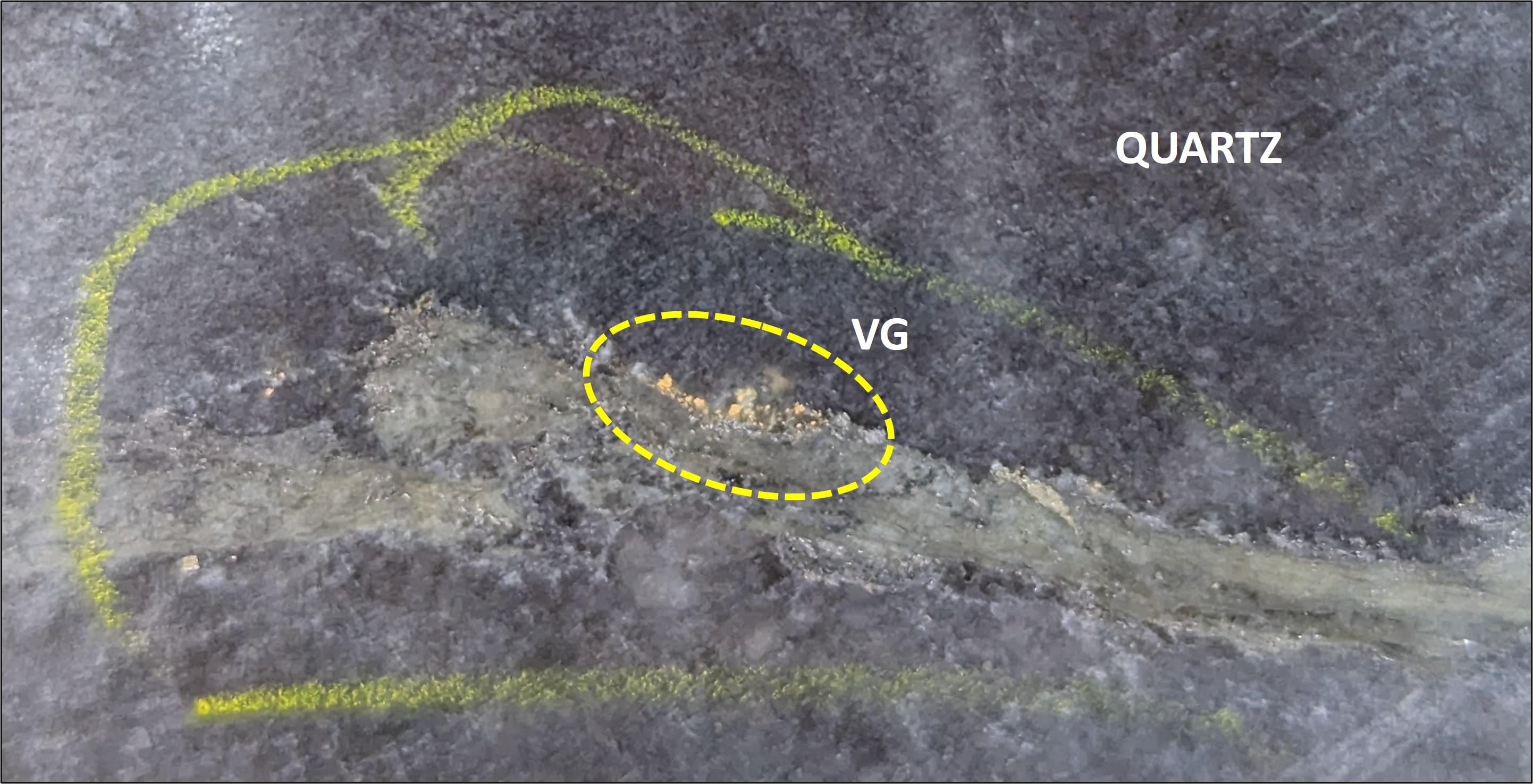 Figure 3: Core photo of visible gold in GS24-136 @164.3m